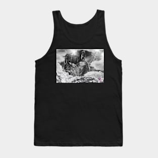 Viking, coming to battle Tank Top